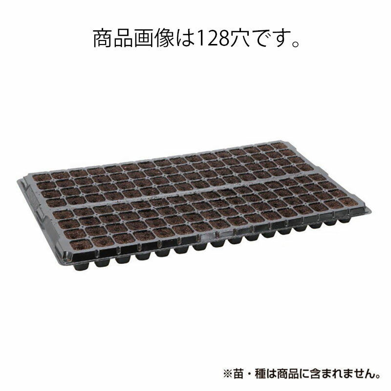 プラグ用土 コカピー 200穴 播種溝 STタイプ 240枚 PKS106 培土 園芸 育苗 カ園 個人宅配送不可 代引不可