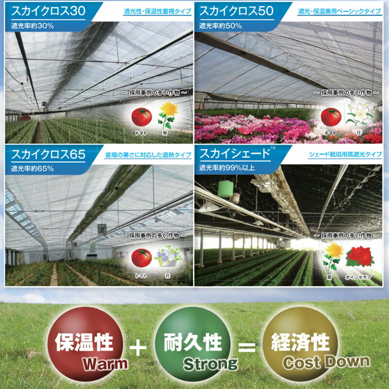 【3/31までエントリーで最大100%Pバック】保温遮光カーテン スカイクロス65 遮光率約65％ 6.0m×30m ハウス内専用 内張りカーテン 保温効果 遮光 ダイヤテックス サT 北海道不可 代引不可 2