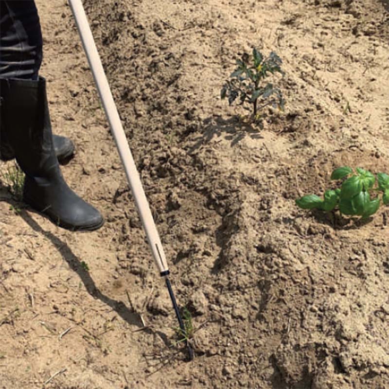 ��100%�ݥ���ȥХå� ����ȥ꡼������2/25�ޤǡ�Ω�ä��ޤ޼�Ĺ����� 75mm ��ʪ�� 10140 �� �� �ۡ� ���� Ĺ�� ���� ���� �������� �����ڹ��� H