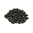 マルチング材 エコマルチ 250g ブラック リッチェル 36袋 プラスチック製 園芸 ガーデニング ガーデン用品 Richell カ園 個人宅配送不可 代引不...