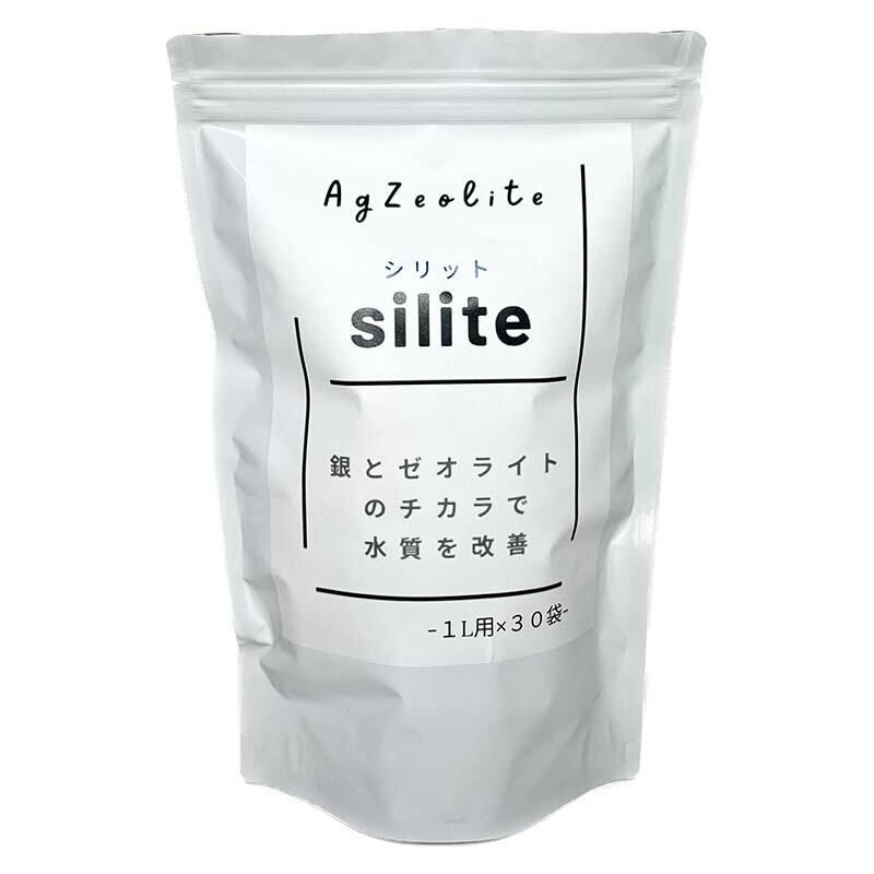  silite å 1L Կ30  饤 ڲ Green Walk T Բ