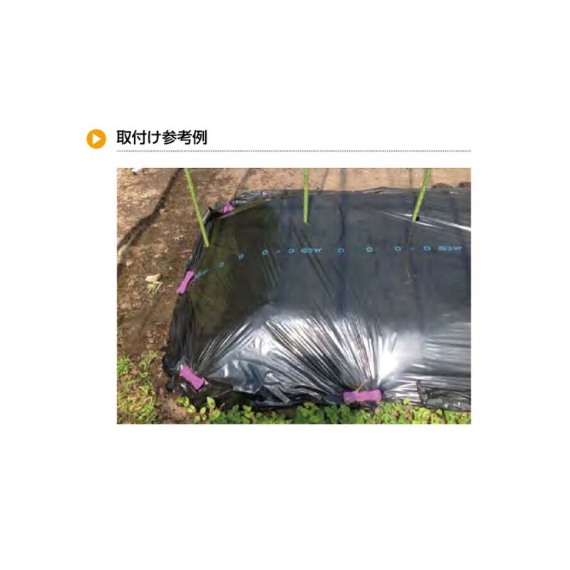 ��3/31�ޤǥ���ȥ꡼�Ǻ���100%P�Хå��۲����ԥ� �ѡ��ץ�ȥ�� CP-653 500�� �������� �ޥ�������Ȳ����� ���� ���� ���� ��� ��ʪ Ȫ �����ǥ˥� ��T ����Բ�