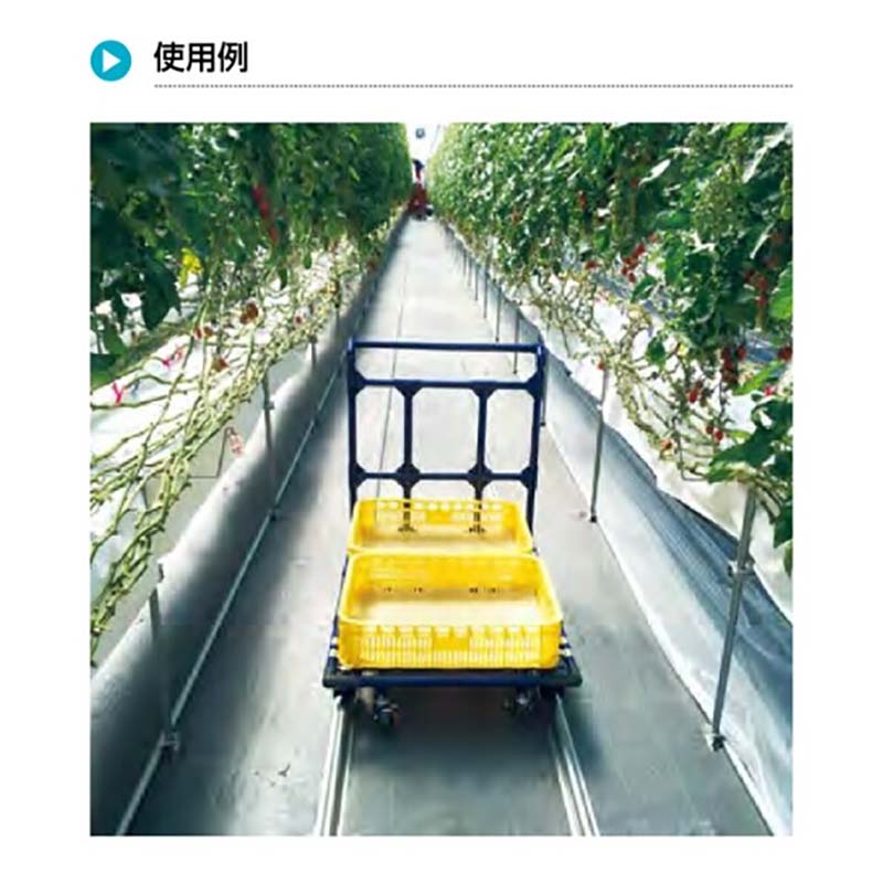 ��3/31�ޤǥ���ȥ꡼�Ǻ���100%P�Хå������ �졼���Ѽ������ 1�ʥ����� K-678-1 �������� ������� ��ȼ� �ϥ��� ���� ��� ��ʪ Ȫ �����ǥ˥� ��T �Ŀ��������Բ� ����Բ�