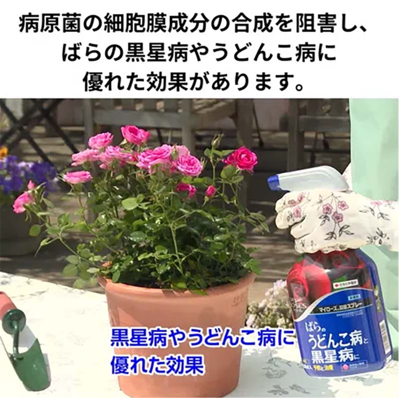 【6/1〜最大100%Pバック抽選で要エントリー】殺菌剤 マイローズ殺菌スプレー 950ml...