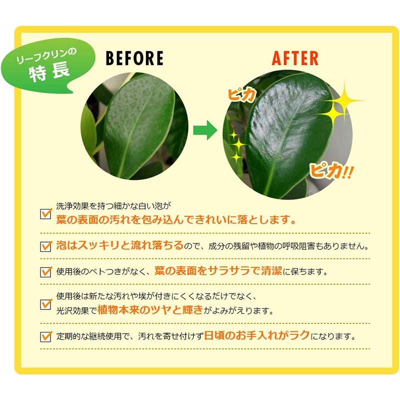 ��100%�ݥ���ȥХå� ����ȥ꡼������2/25�ޤǡ����������� �꡼�ե���� ��̳�� 480ml 24�� KINCHO��� ���̸����� ���� ��� �����ǥ˥� ���� ����Բ�