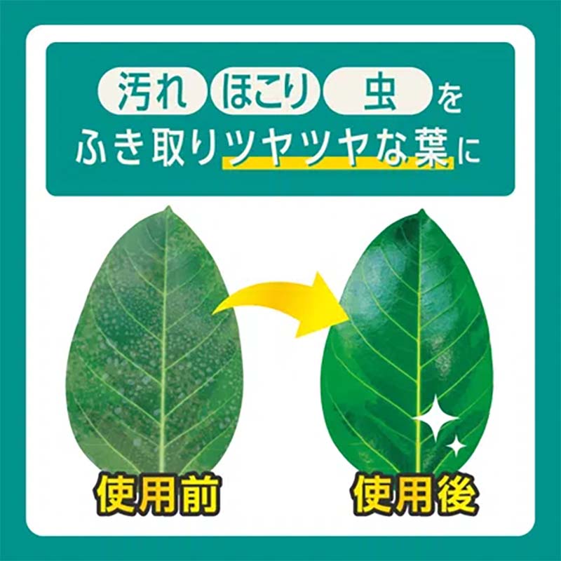 ��4/30�ޤǥ���ȥ꡼�Ǻ���100%P�Хå������������� MY PLANTS �դ򤭤줤�ˤ��륷���� 10���� 40���å� KINCHO��� ���̸����� ��� �����ǥ˥� ���� �Ŀ��������Բ� ����Բ�