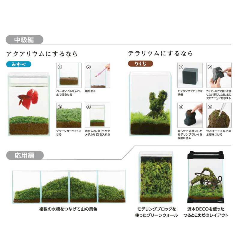 ��3/31�ޤǥ���ȥ꡼�Ǻ���100%P�Хå��ۤۤȤꤨ ���꡼�󥫡��ڥåȥ��å� M 12�� ��� ���� ���� �������ꥦ�� ���𥭥å� ����ƥꥢ ���� ����Բ�