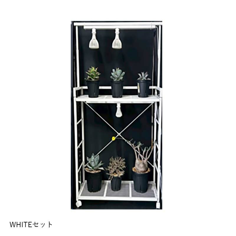 ��3/31�ޤǥ���ȥ꡼�Ǻ���100%P�Хå��ۿ�ʪ����LED EverSun365 24W + �ץ��ĥ饤�ȥ�����ɥ�å� ���å� ���󥹥� �ץ饨�ꥢ ���С����� ����������� LED ��� ���� �Ŀ��������Բ� ����Բ�