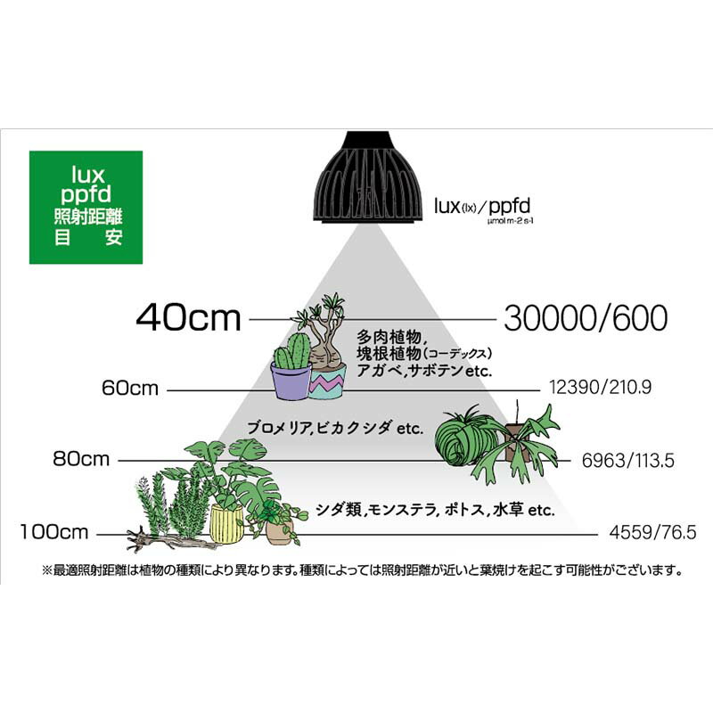 ��ʪ����LED EverSun365 24W 24�� ���󥹥� �ץ饨�ꥢ ���С����� ����������� 24W LED ��� ���� ���� �Ŀ��������Բ� ����Բ�