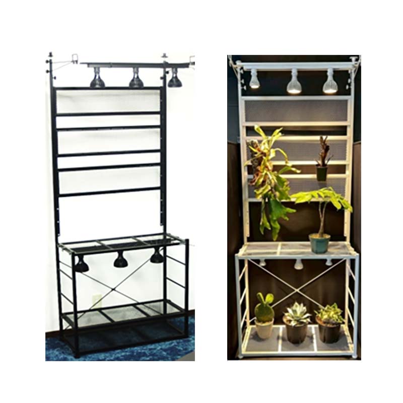 【3/31までエントリーで最大100%Pバック】植物育成LED EverSun365 24W + プランツウォールラック セット ゼンスイ プラエリア エバーサン サンロクゴー LED 園芸 カ園 個人宅配送不可 代引不可