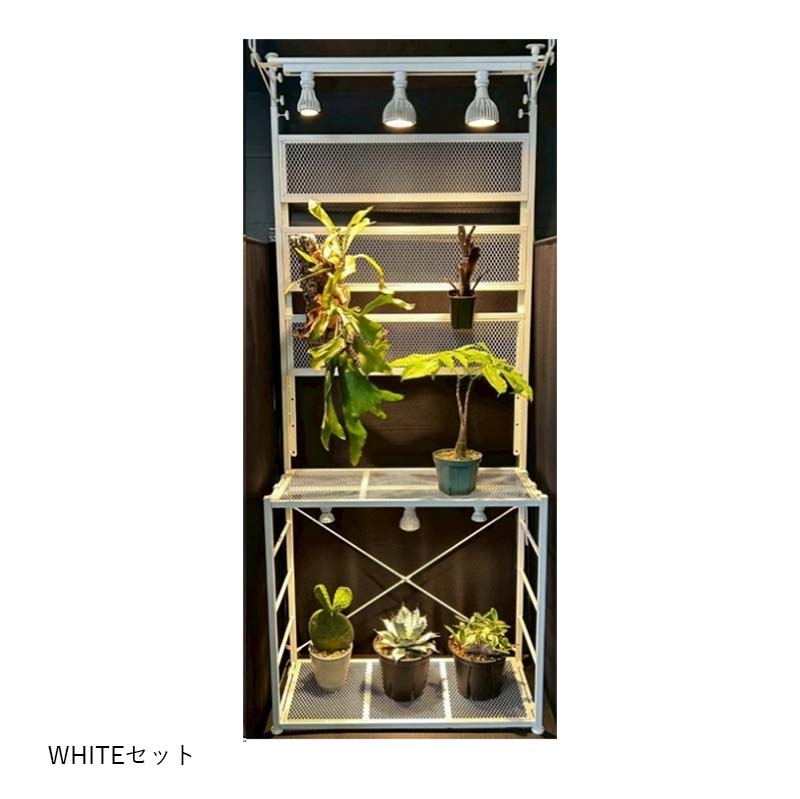 ��3/31�ޤǥ���ȥ꡼�Ǻ���100%P�Хå��ۿ�ʪ����LED EverSun365 24W + �ץ��ĥ��������å� ���å� ���󥹥� �ץ饨�ꥢ ���С����� ����������� LED ��� ���� �Ŀ��������Բ� ����Բ�