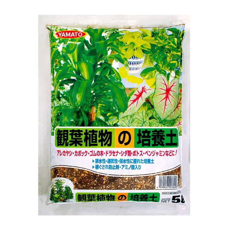 Rakuten - 【6/1〜最大100%Pバック抽選で要エントリー】培養土 観葉植物培養土 5L 10袋 土 植物 観葉植物 園芸 栽培 ガーデニング ヤマトコーポレーション 吉S 代引不可