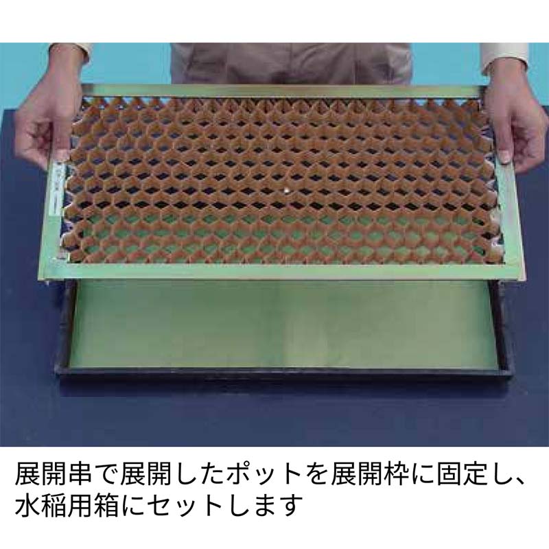【6/1〜最大100%Pバック抽選で要エントリー】展開枠 V-6 枠のみ チェーンポット用 ...