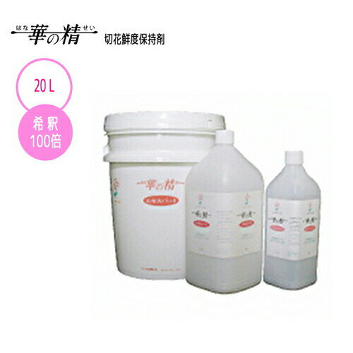 ��100%�ݥ���ȥХå� ����ȥ꡼������2/25�ޤǡۥѥ쥹���� �ڲ������ݻ��� �ڤ��� �������ѡ��� 20L 100�ܱ� �����ǥ˥� ��� ��ƻ �����ڱ� ��Ĺ���� ��̿�� ������ �ѥ쥹��