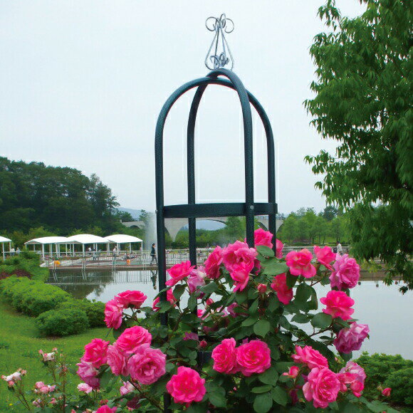 ��3/31�ޤǥ���ȥ꡼�Ǻ���100%P�Хå��ۥ��٥ꥹ�� ������������ ������ ������������ �����ǥ˥� ���� ��� ������ �� �� ��ƥ� ��KD