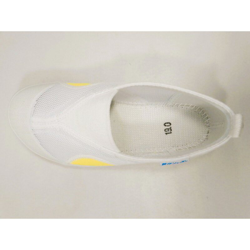 ��4/30�ޤǥ���ȥ꡼�Ǻ���100%P�Хå��۶��饷�塼��A (������) ���顼���� ���������� 14.0cm��20.5cm ��ư�� ������ �ΰ�� �ع��ѥ��塼�� �Ҷ� ���å� ���塼�� ��å������� �̵��� ����D