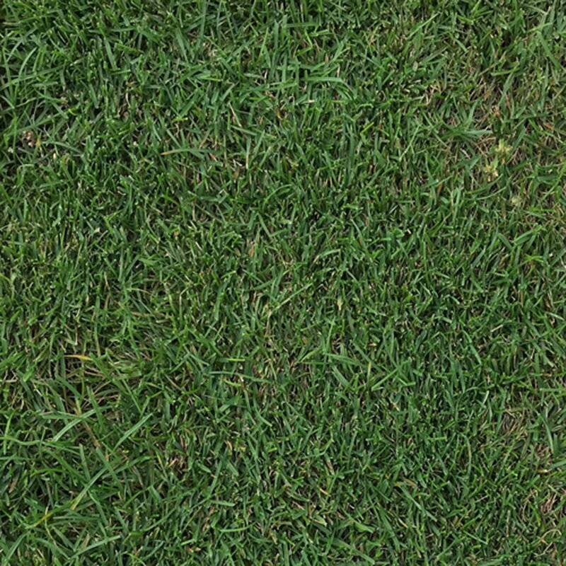 【商品名】 アコースティック 1kg 【特徴】 初期生育に優れターフ形成が速やかです。 サマーバッチに強く、夏期でも高い密度を保ちます。 耐早性と耐陰性に優れ、省力栽培にも適します。 葉色は濃緑で、芝質が高いターフ形成を形成します。類似商品はこちら種 3kg ケンタッキーブルーグラス ラトー 17,046円種 3kg ケンタッキーブルーグラス ヌーブル15,094円種 14kg イタリアンライグラス ガルフ 緑18,047円種 4kg オーチャードグラス ポトマック 早15,530円種 1kg トールフェスク ダイナマイトG-L4,627円種 4kg オーチャードグラス ナツミドリ 早15,645円種 2kg ケンタッキーブルーグラス サンビー6,650円種 1kg オーチャードグラス まきばゆうか 5,249円種 3kg オーチャードグラス アキミドリ2 12,885円新着商品はこちら2026/8/22500g 種ラッキョウ 栽培用 米S 代引不可1,516円2026/8/22排風ダクト 短管 TK-6・7 500φ×1m6,614円2026/8/22排風ダクト 短管 TK-4・5 440φ×1m6,284円再販商品はこちら2026/8/24ペレット種子 150粒 キャベツ 春波 品番3818円2026/8/24ペレット種子 150粒 キャベツ 初秋 品番3818円2026/8/24ペレット種子 150粒 ハクサイ 無双 品番3580円2026/08/24 更新初期生育に優れターフ形成が速やかです