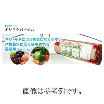 【北海道配送不可】 農業フィルム キリヨケバーナル 霧除け 厚さ0.15mm × 幅300cm × 長さ100m キリ・モヤにより病気になりやすい作物栽培に 昭和パックス カ施