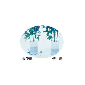 【8/1〜最大100%Pバック抽選で要エントリー】パレス化学 切花鮮度保持剤 華の精 エ...
