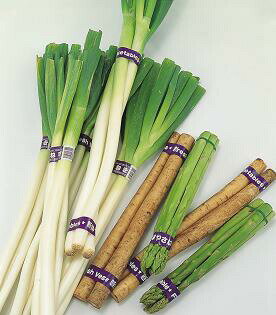 ��100%�ݥ���ȥХå� ����ȥ꡼������2/25�ޤǡۥޥå��� ��ڷ�«�� ���Ӥޤ� HT-M2 ��ư�� ��ư������ ������ Ĵ����ǽ ��ڤ˹�碌�� ��« �ͥ� �ۤ������ ���� �ʤ� ���� ���Ȼ�� ���� ����Բ�