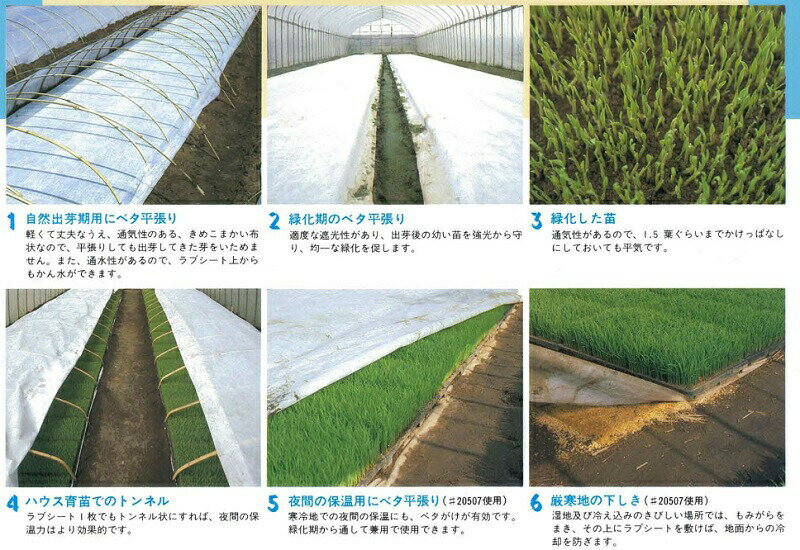 ��3/31�ޤǥ���ȥ꡼�Ǻ���100%P�Хå��ۥ�˥��� ��֥����� #20307WTD �� �ۥ磻�� ����0.13mm����270cm��Ĺ��50m �Կ��� ��G H