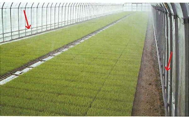 ��100%�ݥ���ȥХå� ����ȥ꡼������2/25�ޤǡۥߥ��ȥ����� S72 120m�� 2���� �ÿ���塼�� �����ɴÿ� �������� ���� �Ŀ��������Բ� ����Բ�