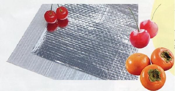 2本 ネオポリシャインクロスT87 無穴 さくらんぼ・柿用 0.1mm厚×1.5m×50m エーアイシーテック カ施 代引不可