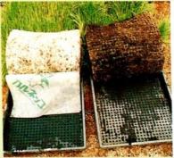 ��100%�ݥ���ȥХå� ����ȥ꡼������2/25�ޤǡ�1000�� ����ͥå�SF 100���10�� ��� ����Ȣ �� ���ڤ� ������ �߻� �̵��� �� ���� �ޥå� MKV���ɥХ� ���� D