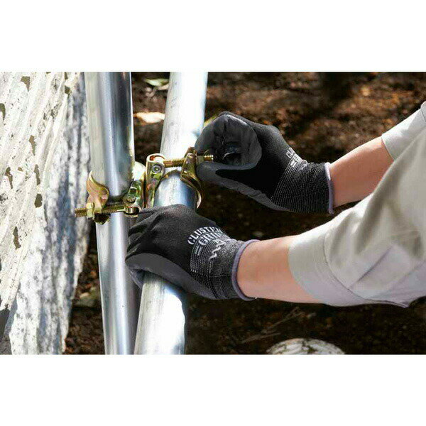 ��100%�ݥ���ȥХå� ����ȥ꡼������2/25�ޤǡ���Ω����åץ��饹���� (������) (10����) L������ No.371 ���硼�殺������ ����D