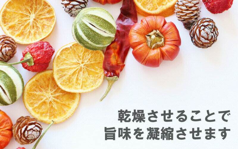 ��3/31�ޤǥ���ȥ꡼�Ǻ���100%P�Хå��ۿ��ʴ��絡 �ɥ�åԡ�mini 100V ������ ��̳�� DSJ-mini �ɥ�åԡ��ߥ� �ɥ饤�ա��� �ɥ饤�ե롼�� ���� ��� ��ʪ ���絡 ���ʴ��� ��ڴ��� �Ų����� DZ