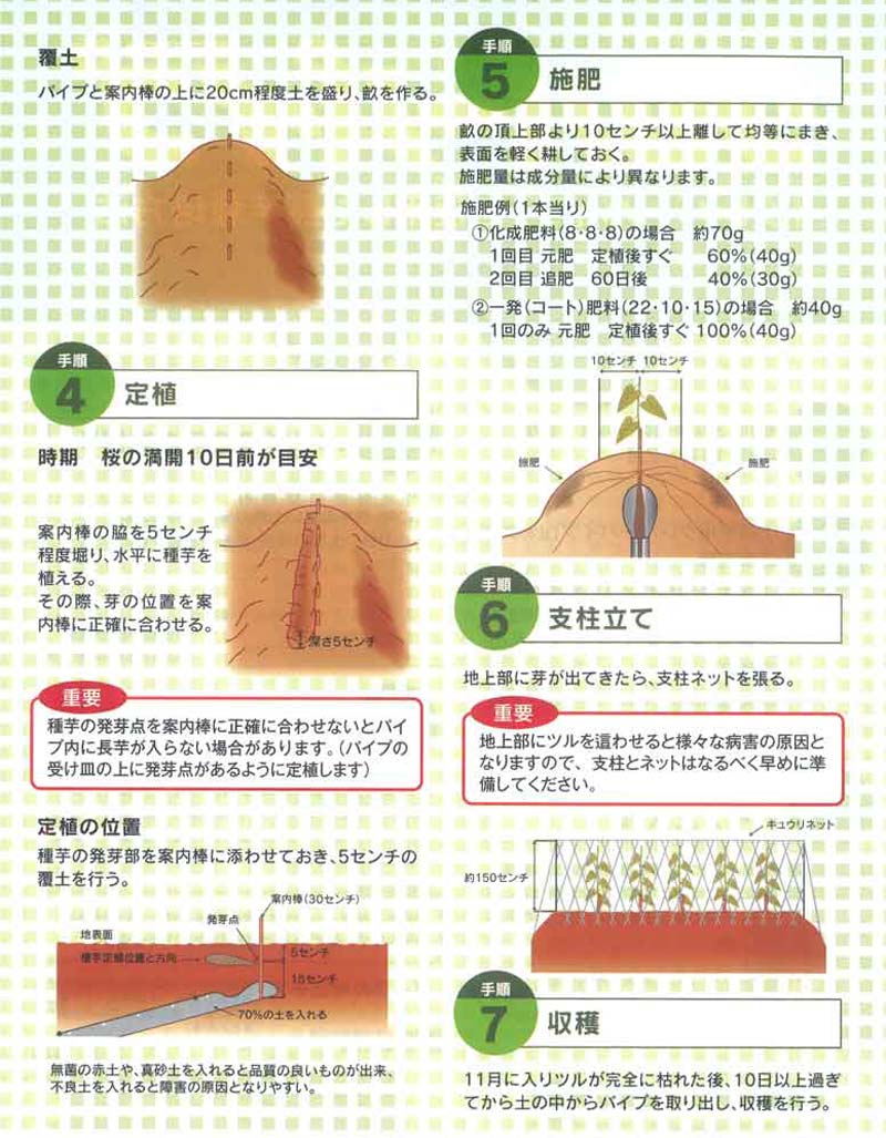 ��100%�ݥ���ȥХå� ����ȥ꡼������2/25�ޤǡ�20�� �ĥ�Τ� ����С��ѥ����� Ĺ���� Ĺ����ݴ� Ĺ�� Ĺ���� �ʤ����� �ʥ����� ���� Ȫ �����ڱ� ���ļ������� ��S DZ