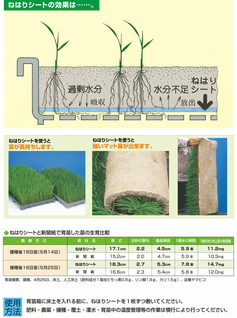 ��100%�ݥ���ȥХå� ����ȥ꡼������2/25�ޤǡۺ���ĥ�꤬�ɤ��ʤ� 20�� �ͤϤꥷ���� �Ȥ��Τƥ����� ���ĥ����� ����Ȣ���� �߻� ����Ȣ ��Ȣ �� ������ ���ߤ� �ݿ� ���� ��� ���� ��� ��ʸ�� ��K DZ