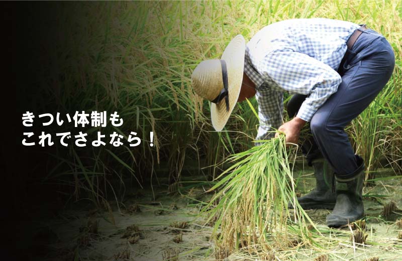 ��3/31�ޤǥ���ȥ꡼�Ǻ���100%P�Хå��ۤ���Ȥ꤯�� ���ϰ𴢤굡 �� �Ѵ��� ������ �괢�� ������ �𴢤� �𴢤굡 �� ���� ���� �����귯 ����Ȥ귯 ���� ��ϫ ��ô �ڸ� ��K ����Բ�