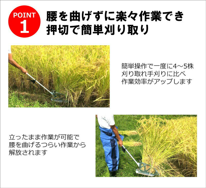 ��3/31�ޤǥ���ȥ꡼�Ǻ���100%P�Хå���2�� ����Ȥ꤯�� ���ϰ𴢤굡 �� �Ѵ��� ������ �괢�� ������ �𴢤� �𴢤굡 �� ���� ���� �����귯 ����Ȥ귯 ���� ��ϫ ��ô �ڸ� ��K ����Բ�