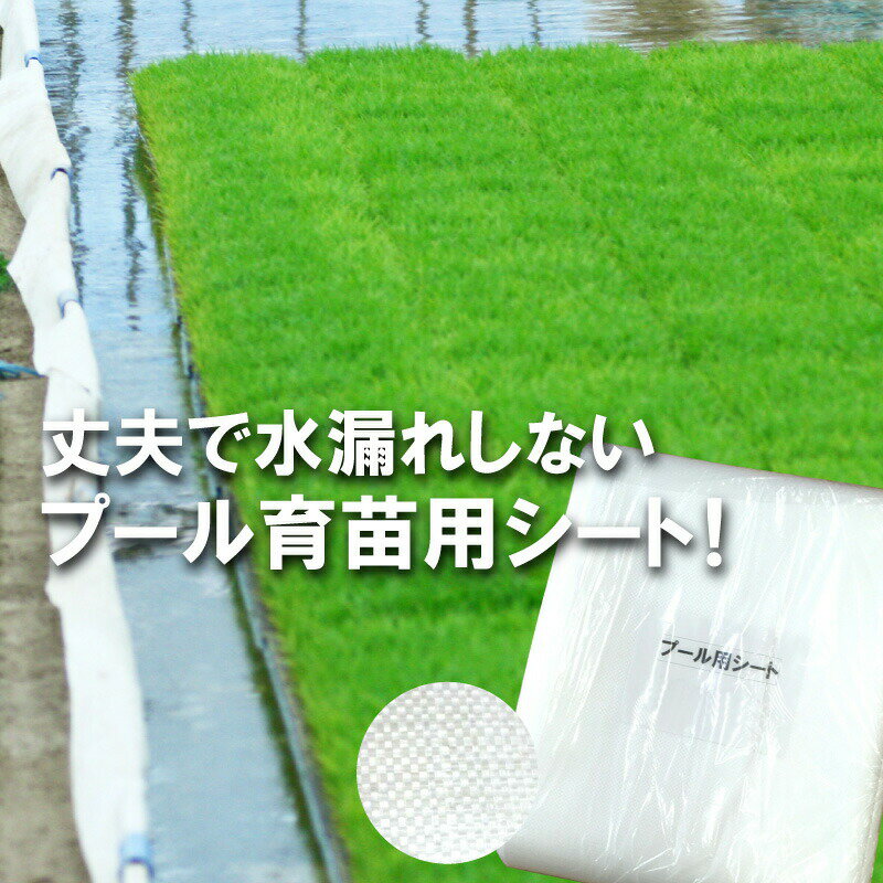 丈夫で水漏れしない カット品 プール育苗シート 遮水シート 厚さ0.25mm×幅600cm 1m単位カット品 プール育苗 プールシート 厚手 プール シート 水稲 苗 コMD