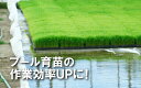 plusys7022:10064270のサンプル画像3