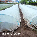 2.5m×100m 白(透明) ぬくぬく 遮光ネット ANW10 寒冷紗 JX ANCI サT 代引不可