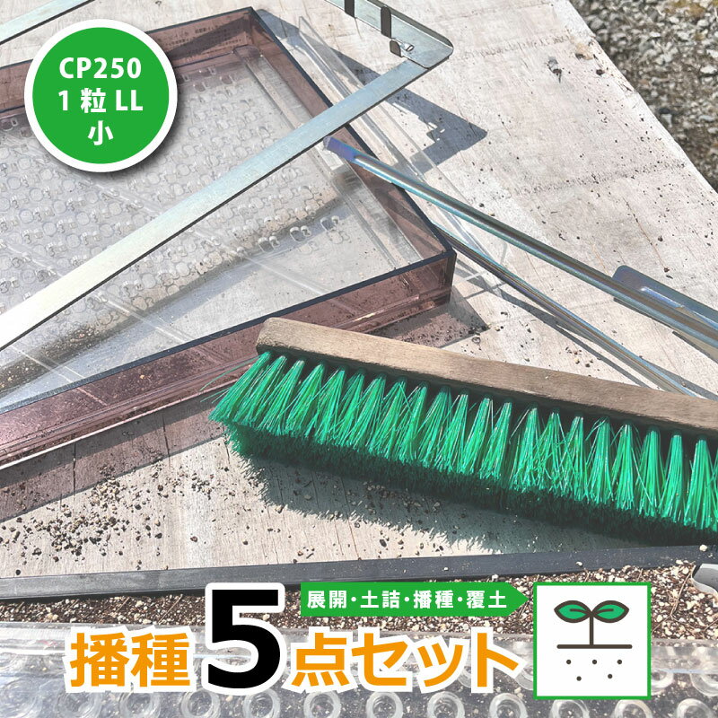 商品名 播種5点セット CP250 1粒LL-小 商品特徴 「播種5点セット CP250 1粒LL-小」は、日本甜菜製糖株式会社のチェーンポットの播種作業が簡単にできるセット商品です。チェーンポットを展開し、土詰、播種、覆土まで、播種作業が簡単にスピーディーに行えます。家庭菜園から、農家の方まで幅広く使かわれています。 ※コチラの商品は、返品できませんので、内容をよくお確かめの上ご購入ください。 使用方法 1.展開串をチェーンポットの白いラベルの隙間に差し込みます。 2.展開串で展開枠に広げて、水稲育苗箱にセットします。 3.土詰めブラシで周囲を叩くようにし、やや固めに培土を詰め込みます。 4.ポットプレートを押して、播種穴を開けます。 5.ポットシーダーにて播種をします。 6.展開枠をはずし、覆土をします。 仕様 規格：CP250 1粒LL-小 展開串：CP-1（1組） 土詰ブラシ：1本 展開枠：CP-25K（5台） ポットプレート：CP250・播種穴サイズ小（1台） ポットシーダー：1台（1粒蒔き・LLコート種子） 対応チェーンポット CP253 入数150冊 : 白ネギ BP253 入数150冊 : ネギ 玉ネギ 注意事項 商品のデザイン・仕様・外観・価格等は、予告なく変更する場合がありますのでご了承ください。 コチラの商品は、返品できませんので、内容をよくお確かめの上ご購入ください。 関連商品 ・播種5点セット CP250シリーズ CP250 1粒H-小 CP250 1粒L-小 CP250 1粒LL-小 CP250 2粒LL-小 ・播種5点セット CP300シリーズ CP300 1粒H-小 CP300 1粒S-小 CP300 1粒M-小 CP300 1粒L-小 CP300 1粒LL-小 CP300 2粒LL-小 CP300 2・3粒LL-小 CP300 3粒LL-小 CP300 1粒H-中 CP300 1粒S-中 CP300 1粒M-中 CP300 1粒L-中 CP300 1粒LL-中 CP300 2粒LL-中 CP300 2・3粒LL-中 CP300 3粒LL-中 CP300 1粒H-大 CP300 1粒S-大 CP300 1粒M-大 CP300 1粒L-大 CP300 1粒LL-大 CP300 2粒LL-大 CP300 2・3粒LL-大 CP300 3粒LL-大 ・播種5点セット LP350シリーズ LP350 1粒L-中 チェーンポット 播種5点セット CP250 1粒LL-小 CP253 BP253 用 白ネギ ネギ 玉ネギ 育苗 展開くし 展開枠 播種 種まき 野菜 農業 ニッテン 日本甜菜製糖 類似商品はこちら播種5点セット CP250 2粒LL-小 チェ119,577円播種5点セット CP250 1粒L-小 チェー111,140円播種5点セット CP300 1粒LL-中 チェ95,696円播種5点セット CP300 3粒LL-中 チェ100,558円播種5点セット CP300 2粒LL-中 チェ98,413円播種5点セット CP300 1粒S-中 チェー95,696円播種5点セット CP300 2 3粒LL-中 100,558円播種5点セット CP300 1粒L-中 チェー95,696円播種5点セット CP300 1粒M-中 チェー95,696円新着商品はこちら2024/5/12WAKO バッテリー式コードレス高圧洗浄機 K22,130円2024/5/12一輪車電動化キット E-cat kit2 バッ121,493円2024/5/12コンテナ用アルミ電動一輪車 AEC2-09 一255,341円再販商品はこちら2024/5/114個 遮光ネット 黒 50% 1m×50m シ14,701円2024/5/115本 穴あき マルチ 黒 品番9515 0.015,873円2024/5/11稲干台 はざ 4段掛け 鉄製 シンセイ 稲架掛5,749円種類 規格 ポットシーダー ポット プレート 穴サイズ 対応チェーン ポット まき数 コート種子 サイズ CP250 CP250 1粒H-小 1粒 Hコート 小 CP253 BP253 CP250 1粒L-小 1粒 Lコート CP250 1粒LL-小 1粒 LLコート CP250 2粒LL-小 2粒 LLコート CP300 CP300 1粒H-小 1粒 Hコート 小 CP303 CP304 CP305 LP303-10 LP303-15 BP303 CP300 1粒S-小 1粒 Sコート CP300 1粒M-小 1粒 Mコート CP300 1粒L-小 1粒 Lコート CP300 1粒LL-小 1粒 LLコート CP300 2粒LL-小 2粒 LLコート CP300 2・3粒LL-小 2・3粒 LLコート CP300 3粒LL-小 3粒 LLコート CP300 1粒H-中 1粒 Hコート 中 CP300 1粒S-中 1粒 Sコート CP300 1粒M-中 1粒 Mコート CP300 1粒L-中 1粒 Lコート CP300 1粒LL-中 1粒 LLコート CP300 2粒LL-中 2粒 LLコート CP300 2・3粒LL-中 2・3粒 LLコート CP300 3粒LL-中 3粒 LLコート CP300 1粒H-大 1粒 Hコート 大 CP300 1粒S-大 1粒 Sコート CP300 1粒M-大 1粒 Mコート CP300 1粒L-大 1粒 Lコート CP300 1粒LL-大 1粒 LLコート CP300 2粒LL-大 2粒 LLコート CP300 2・3粒LL-大 2・3粒 LLコート CP300 3粒LL-大 3粒 LLコート LP350 LP350 1粒L-中 1粒 Lコート 中 CP354 BP353