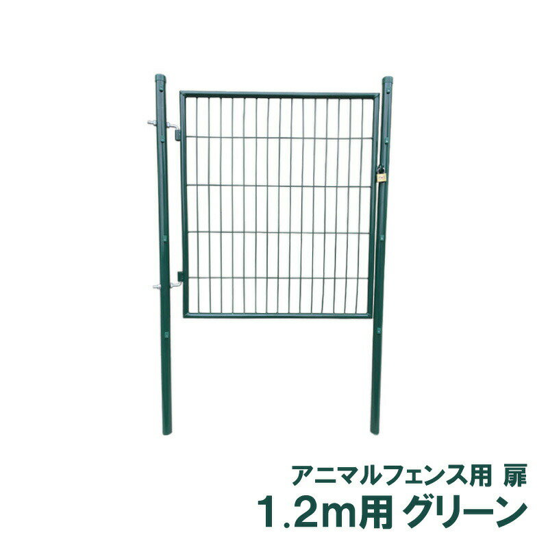 Τ  ˥ޥ륬ɥե 1.2m   ҳ AG-120 ꡼ ˥ޥե ǥ󥲡 󥻥 ...