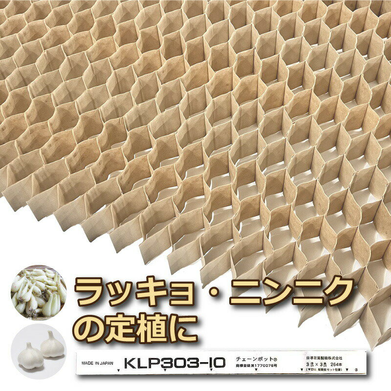 【即使用・育苗不可】 KLP303-10 75冊（個）生分解性 LP チェーンポット 株間10cm 264鉢 らっきょう にんにく klp303-10 ニッテン 日本甜菜製糖 タS 代引不可