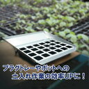 受注生産品 ポリポット 角9cm用 土入れ作業補助トレー やじろべえ 穴トレー 24角穴用 ( 穴トレー 対応 ) メグリーン タSD