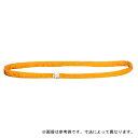 吊具 ラウンドスリング HN型 (エンドレスタイプ) 0.5t用 灰色 長さ L 2 m 使用荷重(ストレート吊の場合) 500 kg W 35 mm スリーエッチ HHH 代引不可