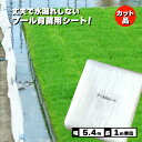 丈夫で水漏れしない カット品 プール育苗シート 遮水シート 厚さ0.25mm×幅540cm 1m単位カット品 プール育苗 プールシート 厚手 プール シート 水稲 苗 コMD