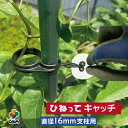 daim ひねってキャッチ16mm支柱用 10個入 結束 農業 園芸 誘引資材 クリップ 第一ビニール 金TD