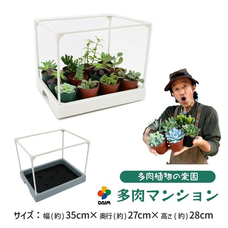 【6/1〜最大100%Pバック抽選で要エントリー】daim 多肉マンション ブラック 幅35cm...