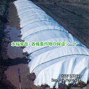 農業用 ミラマット #227 2mm×2.7m×50m 高発泡PEシート JSP カ施 個人宅配送不可 代引不可