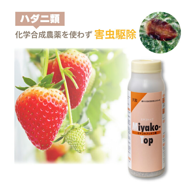 天敵製剤 ミヤコトップ 2,000頭 250ml ミヤコカブリダニ ハダニ類駆除 ハウス ビニールハウス 施設栽培 農業 農作物 イチゴ きゅうり アグリセクト タS 代引不可
