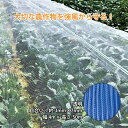 ダイオ タイフーンカバー 透明 4m×50m 137 防風ネット 防鳥 防雹 ゲリラ豪雨対策 べたがけ イノベックス サT 北海道不可 個人宅配送不可 代引不可