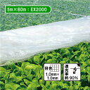 5m×80m ベタ掛け 防虫サンサンネット EX2000 台風対策 ゲリラ豪雨対策 防虫 防鳥 日本ワイドクロス カ施 個人宅配送不可 代引不可