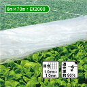 6m × 70m ベタ掛け 防虫サンサンネット EX2000 台風対策 ゲリラ豪雨対策 防虫 防鳥 日本ワイドクロス カ施 個人宅配送不可 代引不可